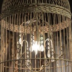 Cage Chandeliers | Dining Room Chandeliers | Rustic Chandeliers | Shabby Chic Chandeliers | Unique Chandeliers