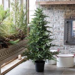 Decorative Potted Fir Tree