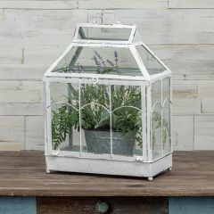 Greenhouse Terrarium