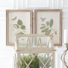 Wood Framed Botanical Prints Set of 4