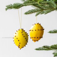 Cloved Lemon Fruit Ornaments Set of 2
