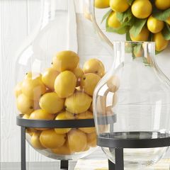 Decorative Lemons Set of 10