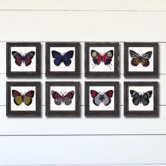 Framed Glass Butterfly Wall Decor Set of 8