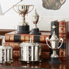 Lidded Mini Decorative Trophy Set of 3