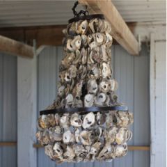 Oyster Shell Chandelier