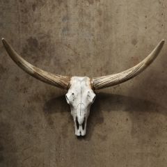 Decorative Steer Skull