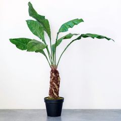 Faux Tropical Plant With Pot