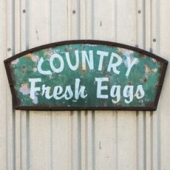 Colorful Country Fresh Eggs Sign
