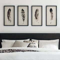 Feather Wood Framed Wall Decor Set of 4