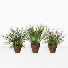 Faux Herb With Clay Pot Set of 3
