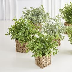 Faux Herb In Woven Basket Set of 3