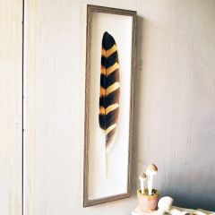 One Feather Framed Wall Decor