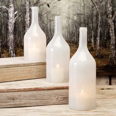 Tinted Bottle Cloche Collection Set of 3