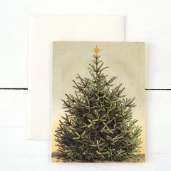 Hester & Cook Christmas Tree Holiday Cards Set of 6