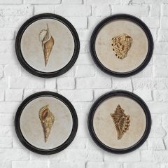 Round Framed Seashell Wall Art Set of 4