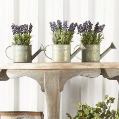 Watering Can Planter With Lavender Set of 2