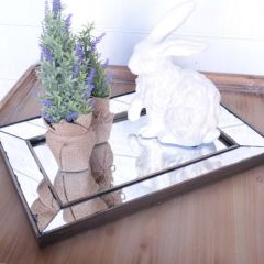 Metallic Mirror Tray