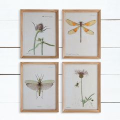 Framed Flower and Insect Wall Decor Collection Set of 4
