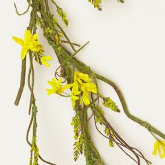 Forsythia With Moss Garland