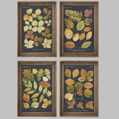 Wood Framed Fall Leaves Print Collection Set of 4