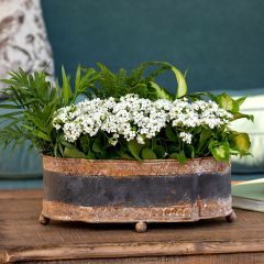 Aged Regal Metal Planter