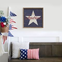 America Star Blue Framed Wall Art