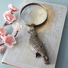 Antiqued Brass Finish Raven Magnifying Glass