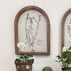 Arch Frame Pressed Florals Wall Art