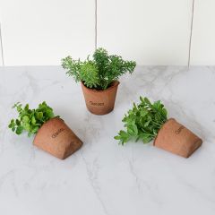 Assorted Potted Windowsill Herbs Set of 3