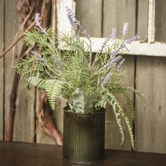 Potted Lavender And Fern Plant