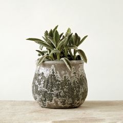 Distressed Terracotta Planter Pot