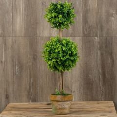 Potted Double Ball Topiary Tree