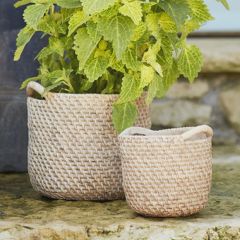Handled Cement Basket Planter Pot Set of 2