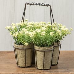 Yarrow Flowers in Metal Basket