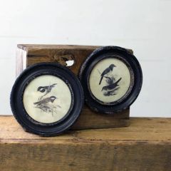 Vintage Style Birds in Round Frames Set of 2