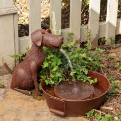 Rustic Dog Water Fountain