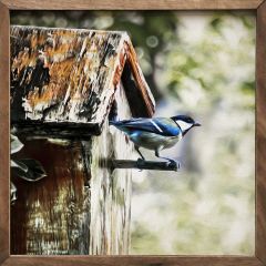 Birdhouse Framed Wall Art