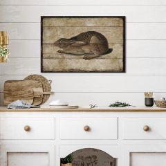 Black Tailed Hare Canvas Wall Art