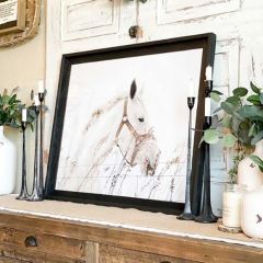 Blanca Horse Photograph Print Wall Art