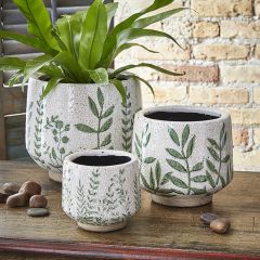 Botanical Print Footed Terracotta Planter