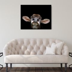 Brown Swiss Cow Photograph Print Wall Art