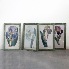 Vintage Inspired Iris Wall Art Set of 4