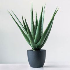Potted Faux Aloe Plant