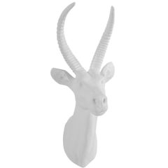 HUGE Antelope Head - White