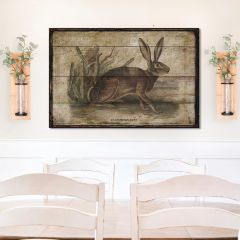 Californian Hare Canvas Wall Art