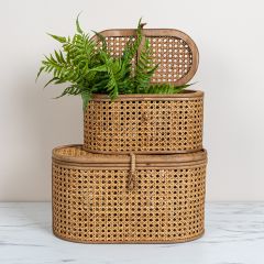 Cane Weave Oval Storage Box Set of 2