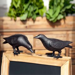 Cast Iron Crows Set of 2