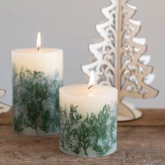 Cedar Botanical Fir Scented Pillar Candle Set of 2