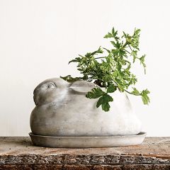 Cement Rabbit Planter With Saucer