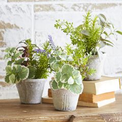 Faux Potted Herbs Set of 3